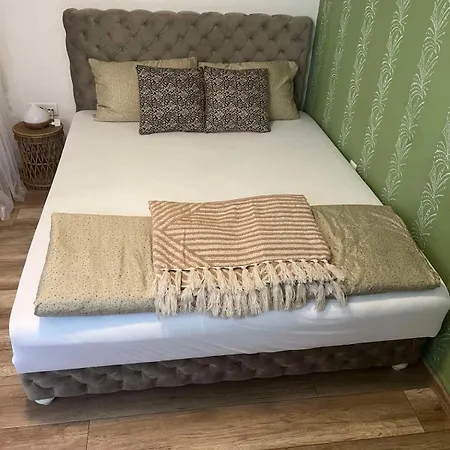 Baba's House * Novi Sad